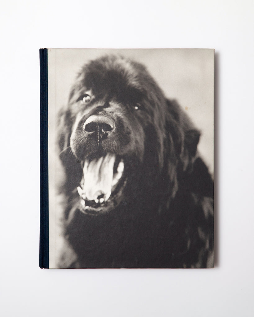 Bruce Weber - Gentle Giants – 10 BOOKS 10 COLORS