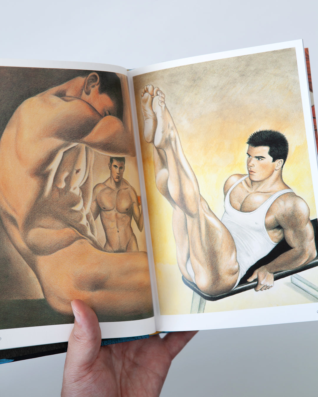 Gay Erotic Art in Japan Vol. 2