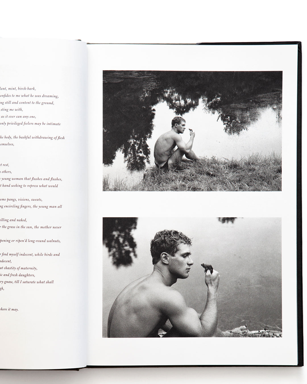 Duane Michals - Salute, Walt Whitman