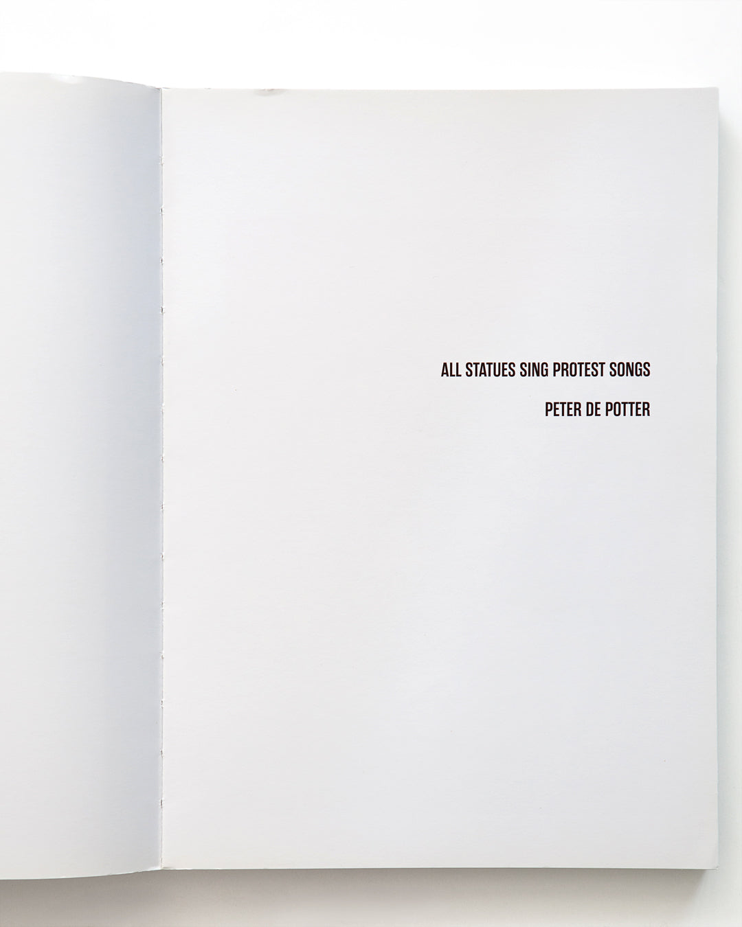 Peter De Potter - All Statues Sing Protest Songs