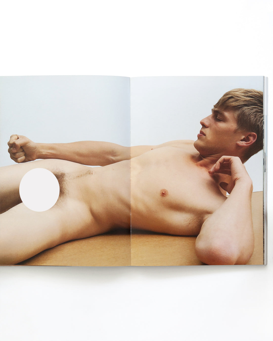 Peter De Potter - All Statues Sing Protest Songs
