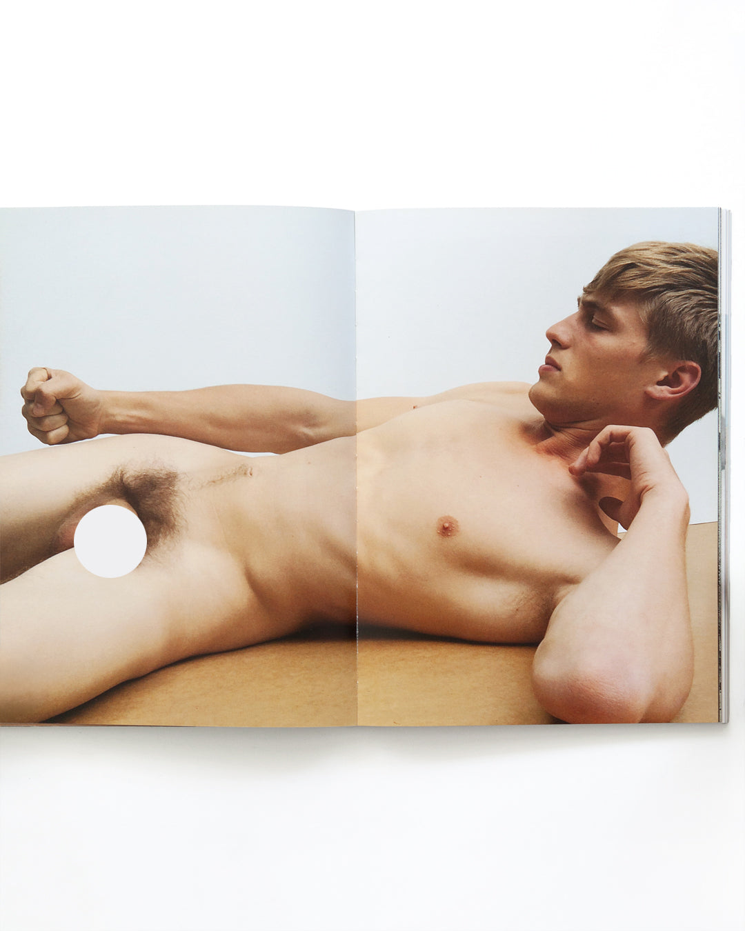 Peter De Potter - All Statues Sing Protest Songs