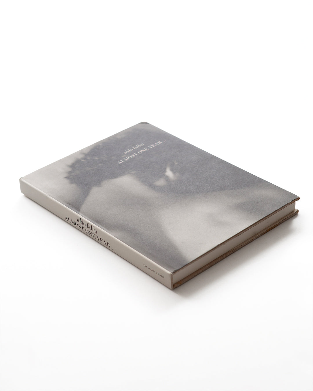 Aldo Fallai - Almost One Year