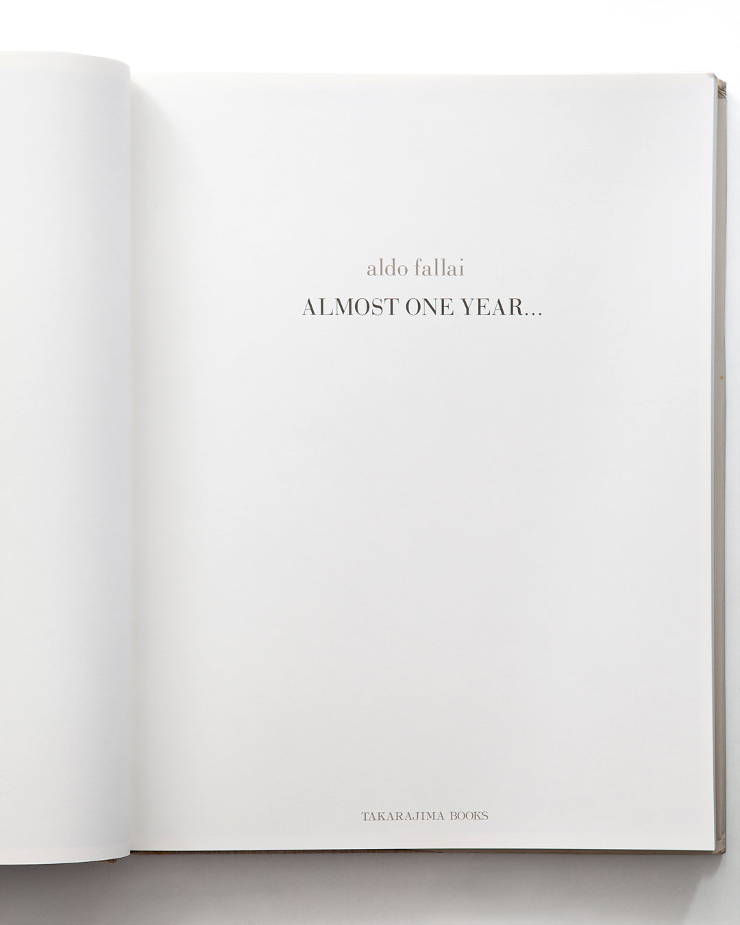 Aldo Fallai - Almost One Year