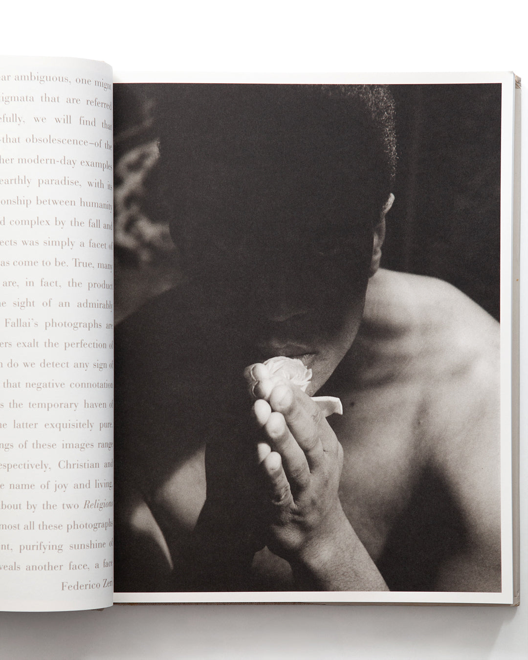 Aldo Fallai - Almost One Year