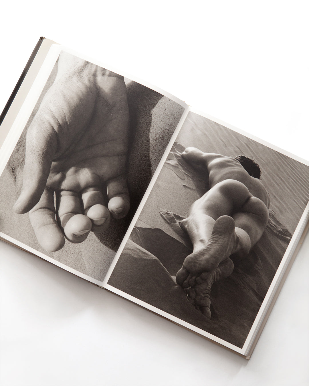 Aldo Fallai - Almost One Year