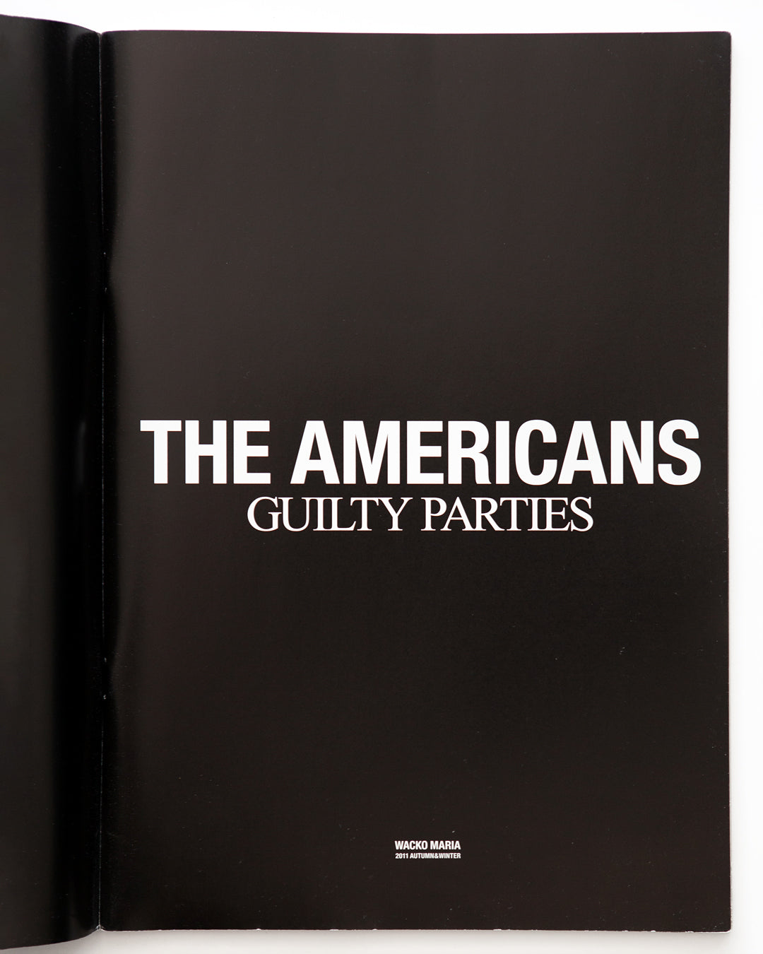 Taro Mizutani - THE AMERICANS Guilty Parties