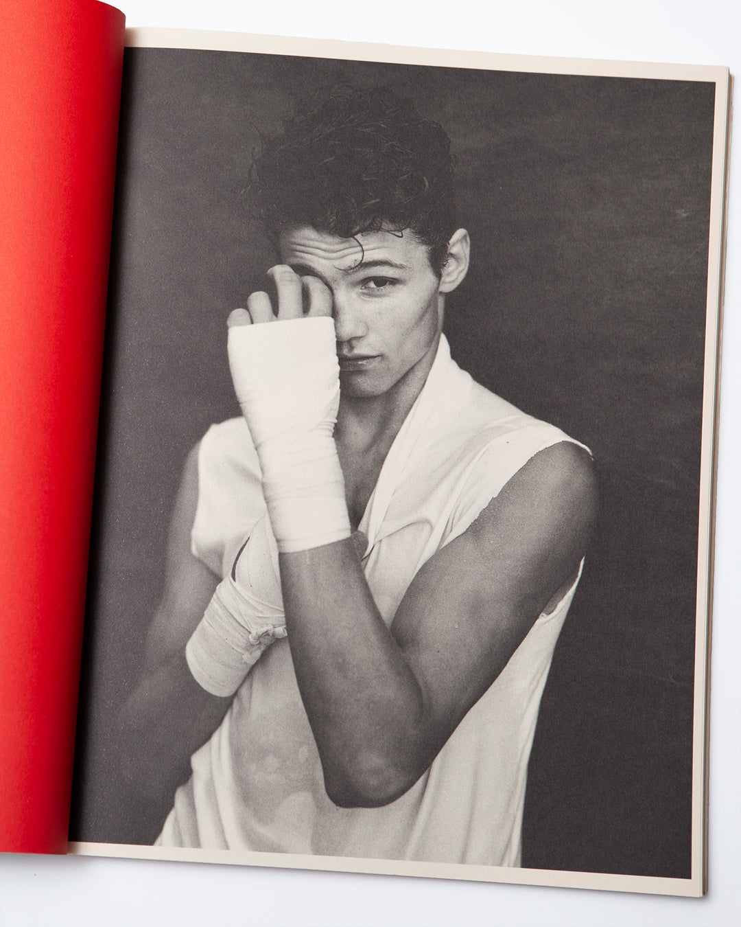 Bruce Weber - The Andy Book