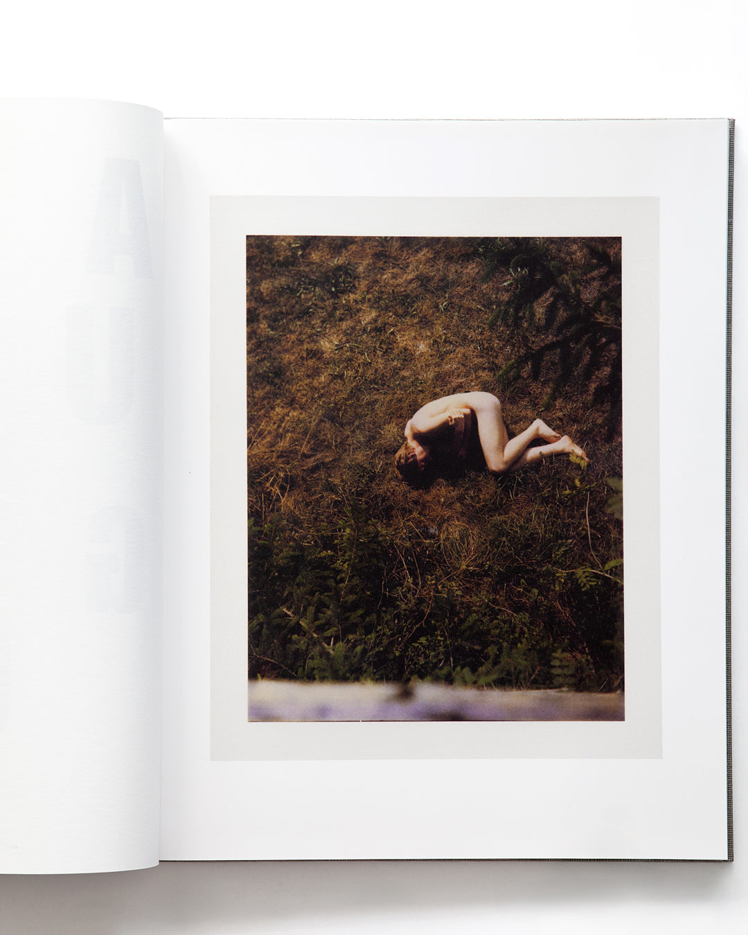 [Signed]Collier Schorr - August