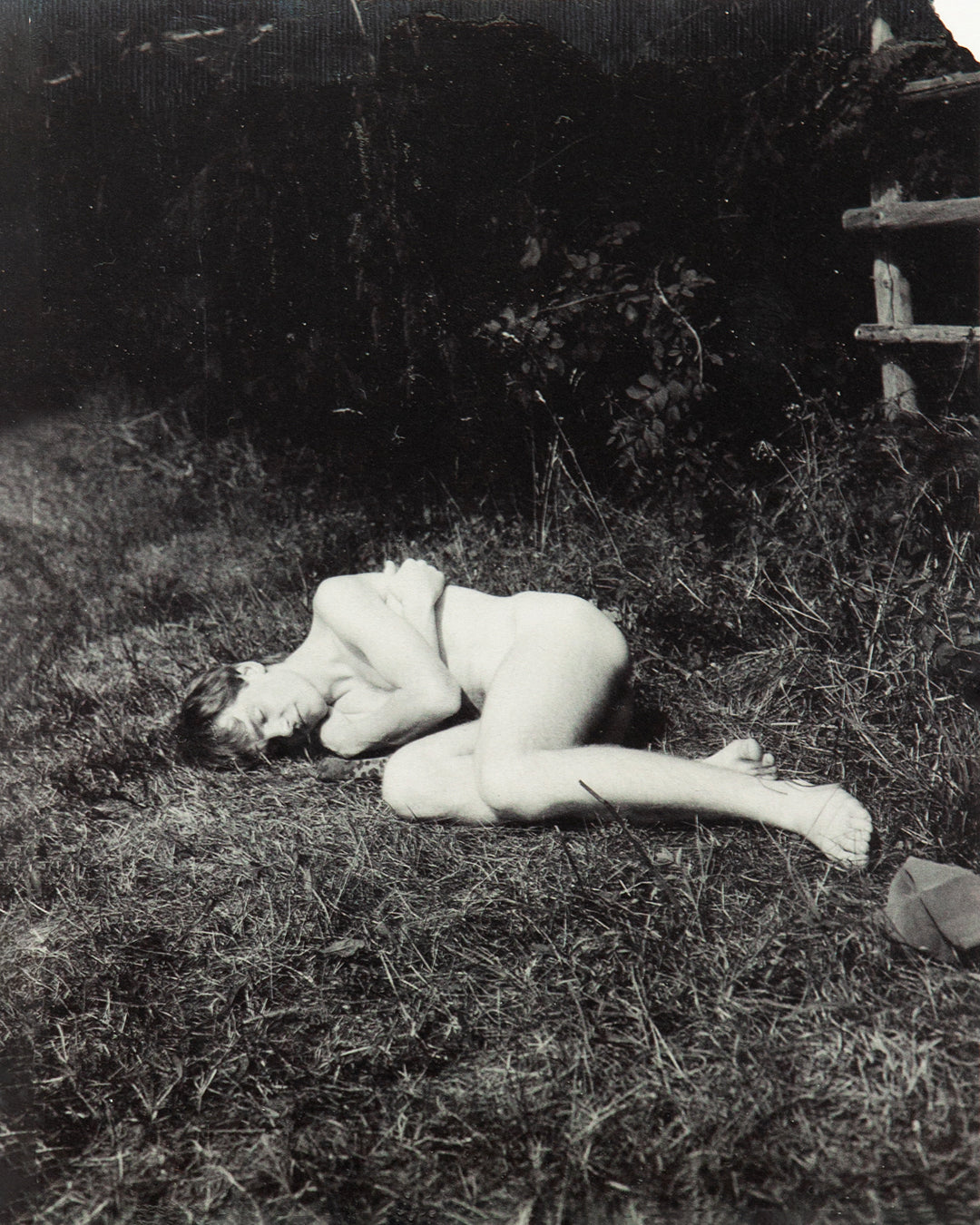 [Signed]Collier Schorr - August