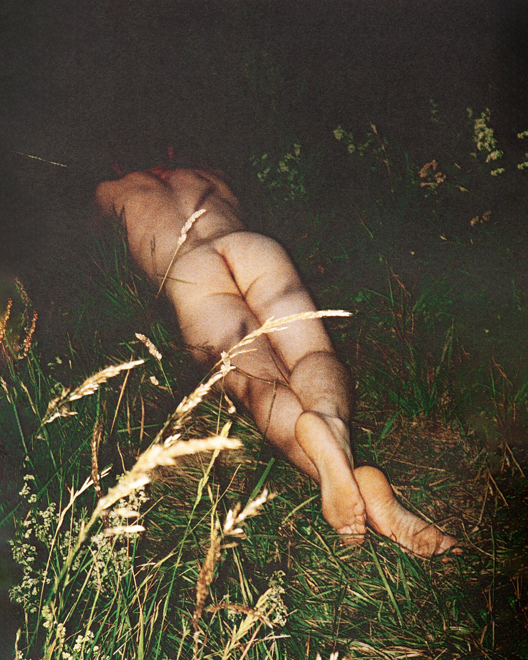 Maxime Muller - Borders