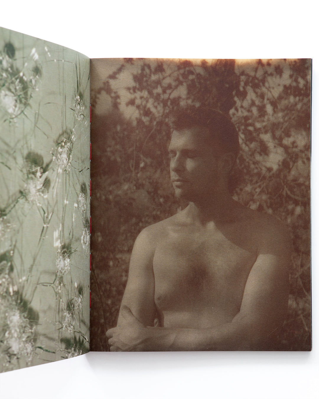 Maxime Muller - Borders