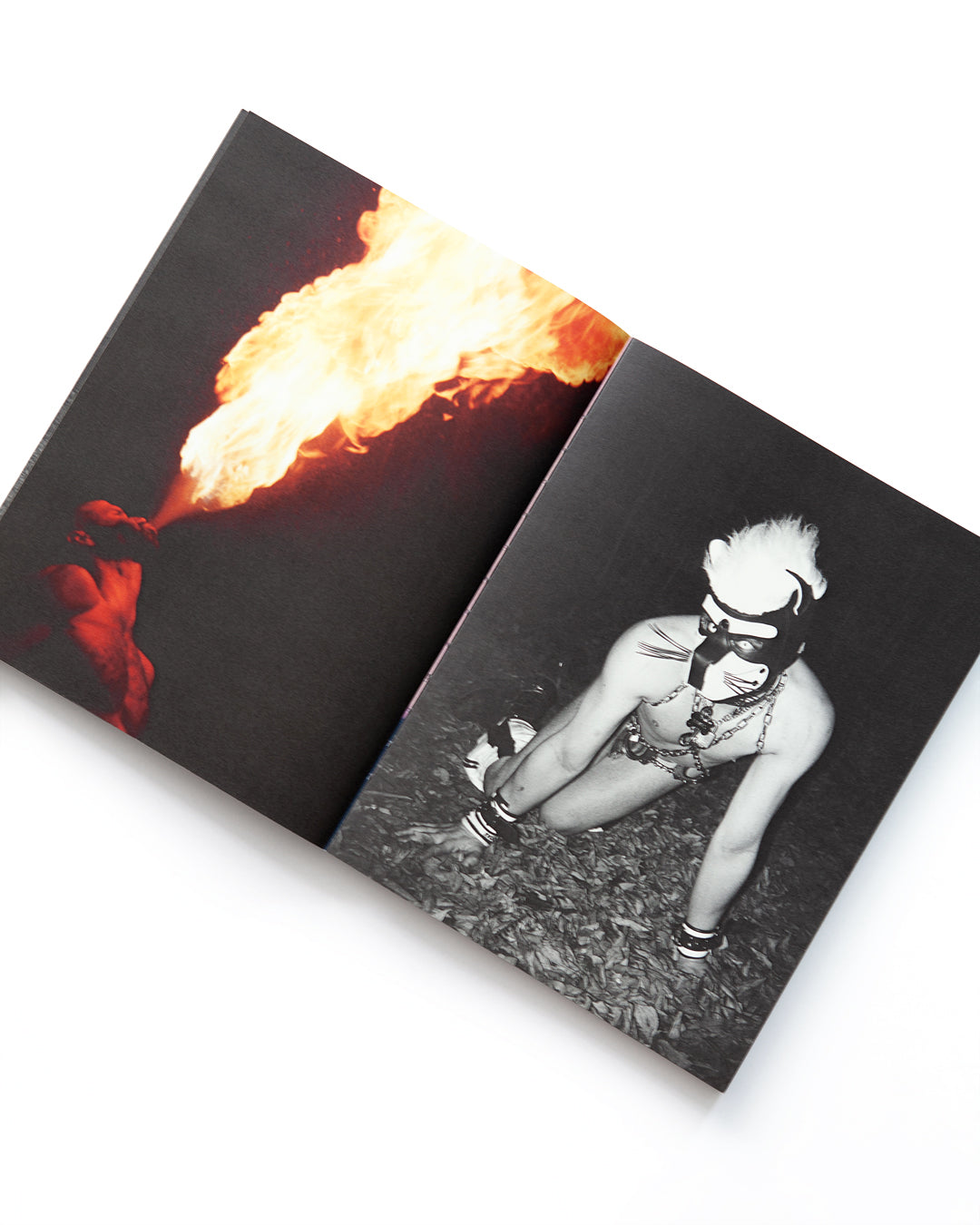 Maxime Muller - Borders