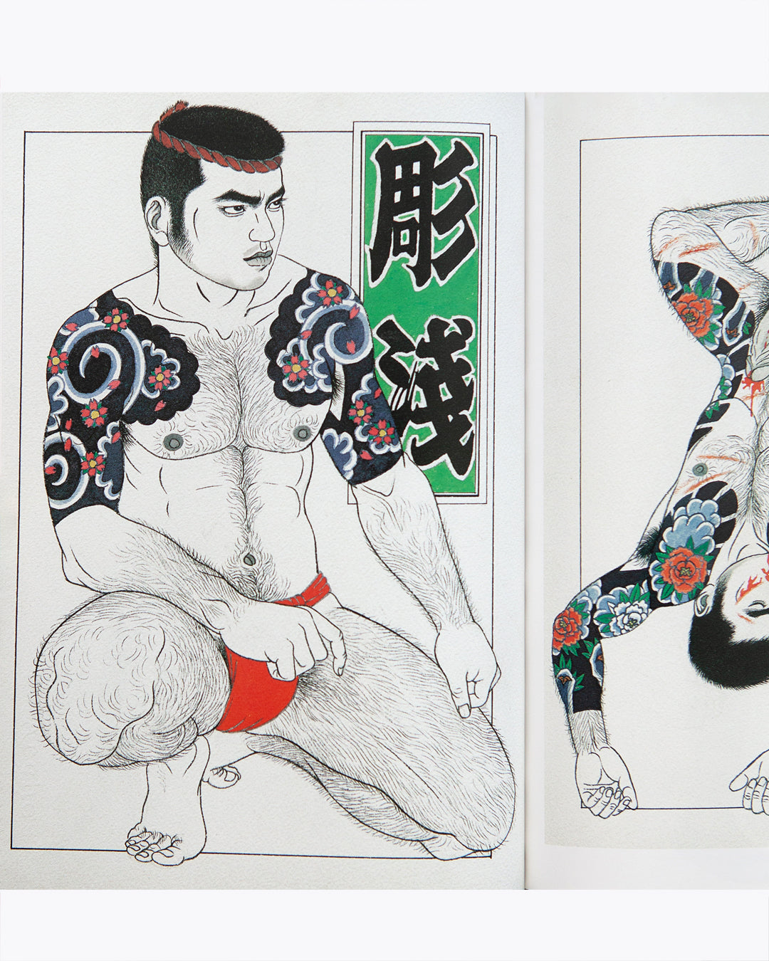 Gay Erotic Art in Japan Vol. 1