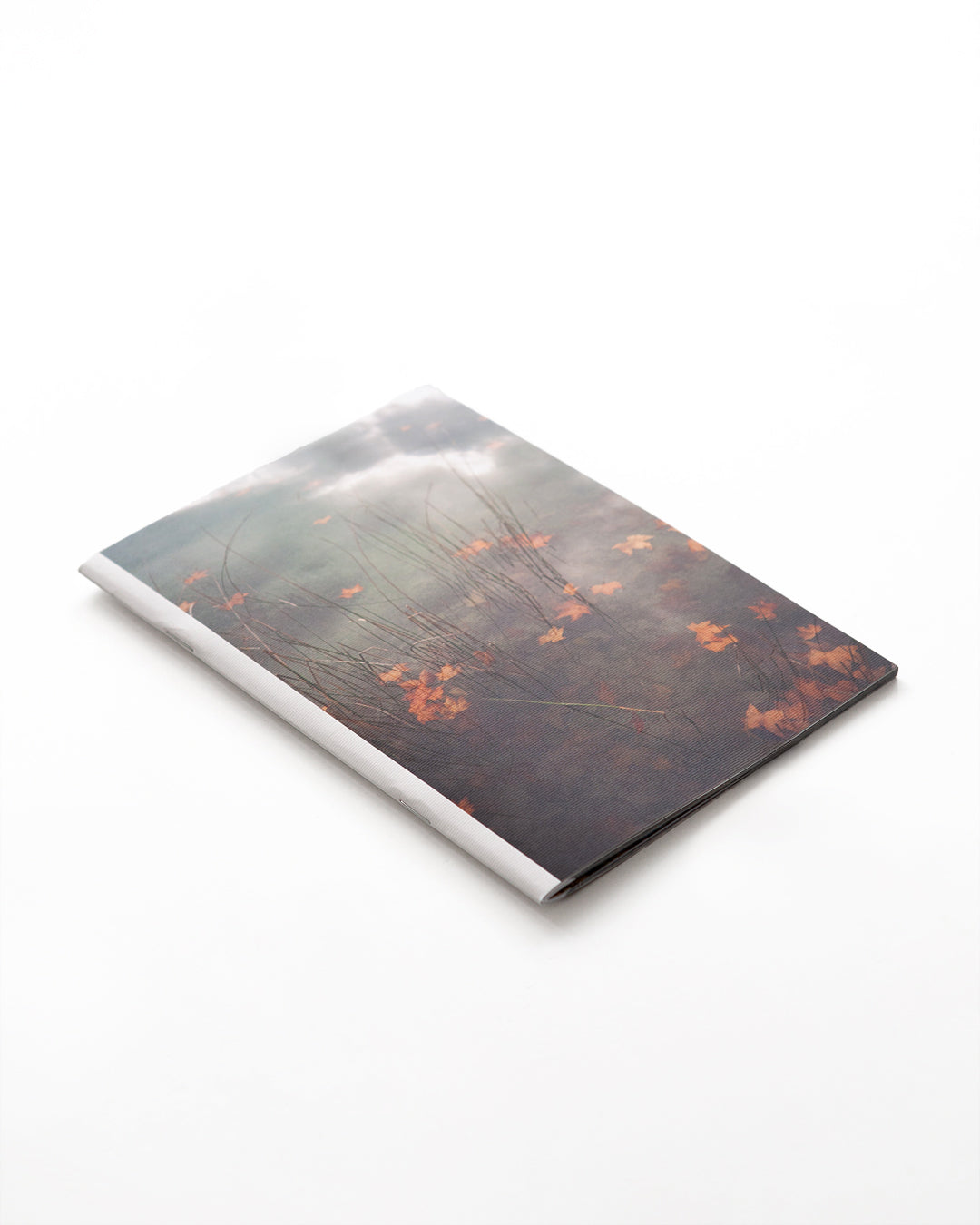 Paco y Manolo - Jardin Secreto (Secret Garden)