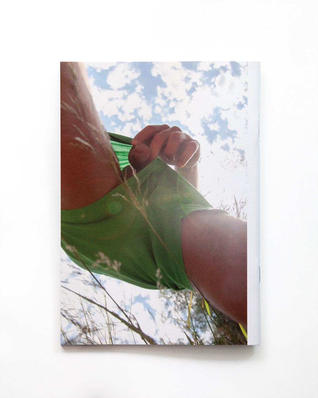 Paco y Manolo - Jardin Secreto (Secret Garden)