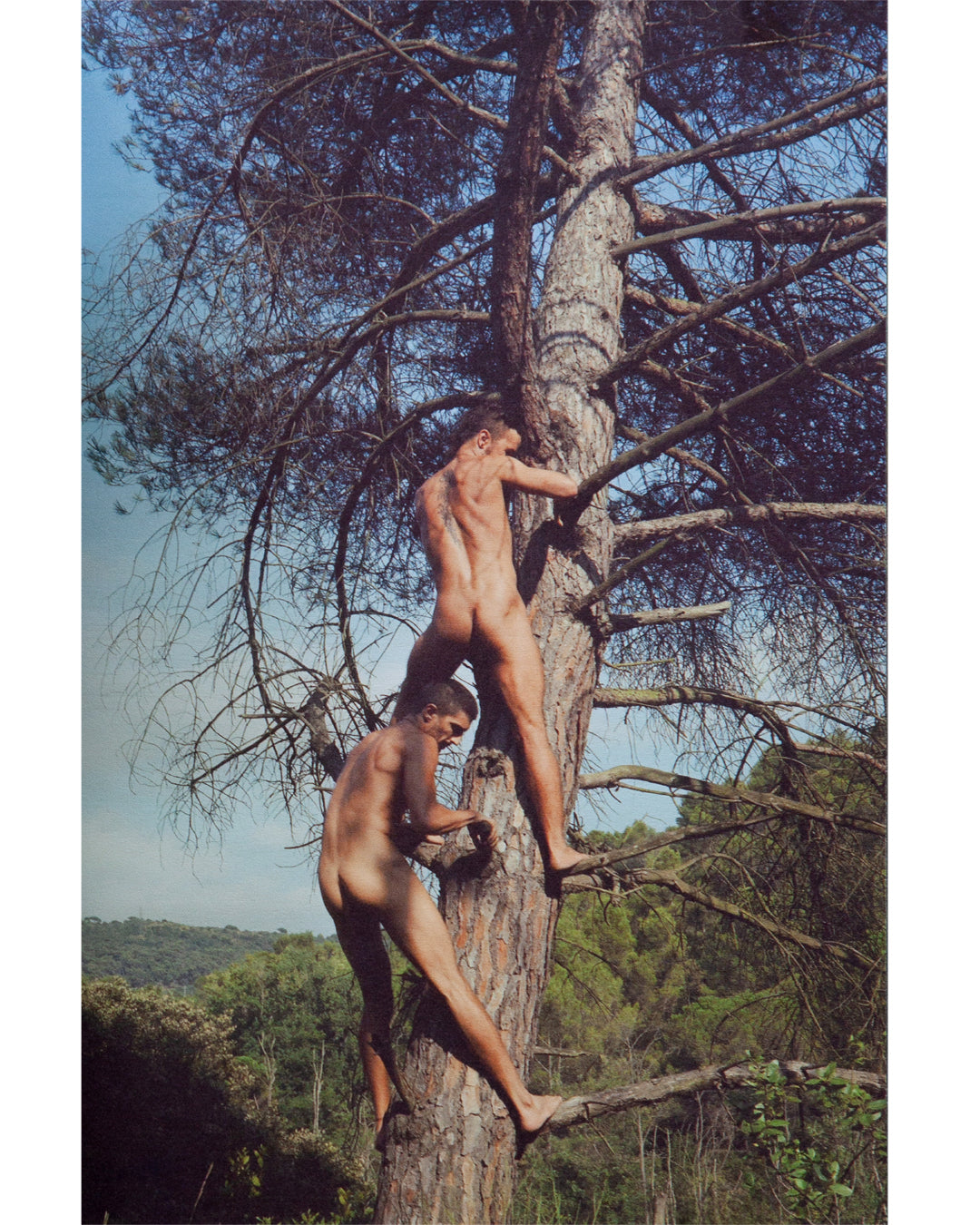 Paco y Manolo - Jardin Secreto (Secret Garden)