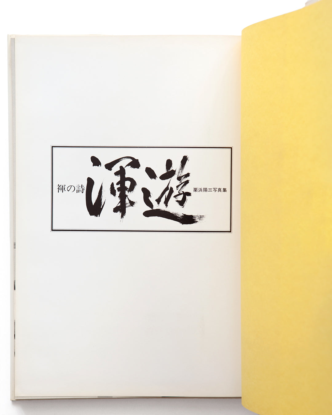 Youzo Kurihama - Konyu