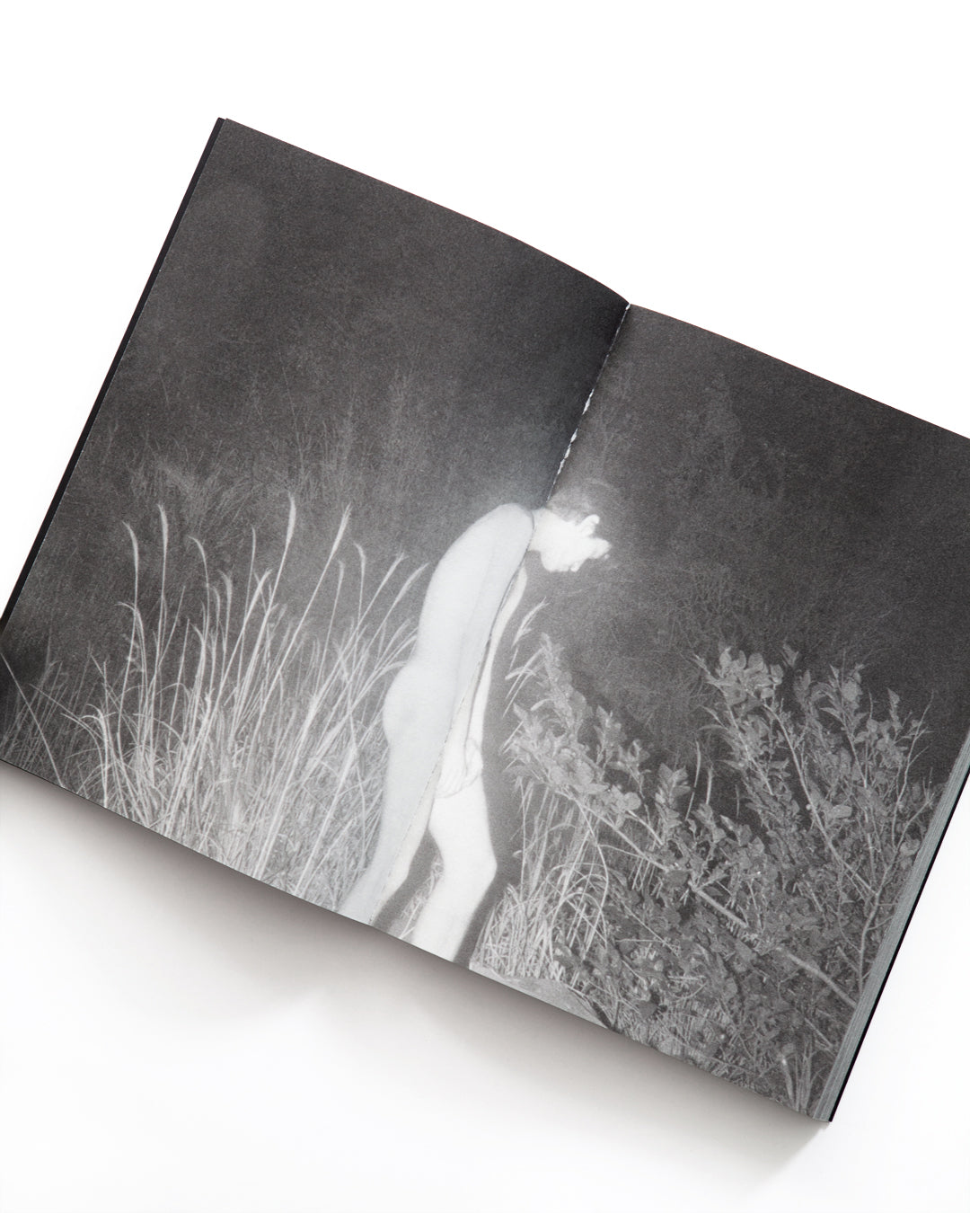 Taisuke Nakano - SCUM