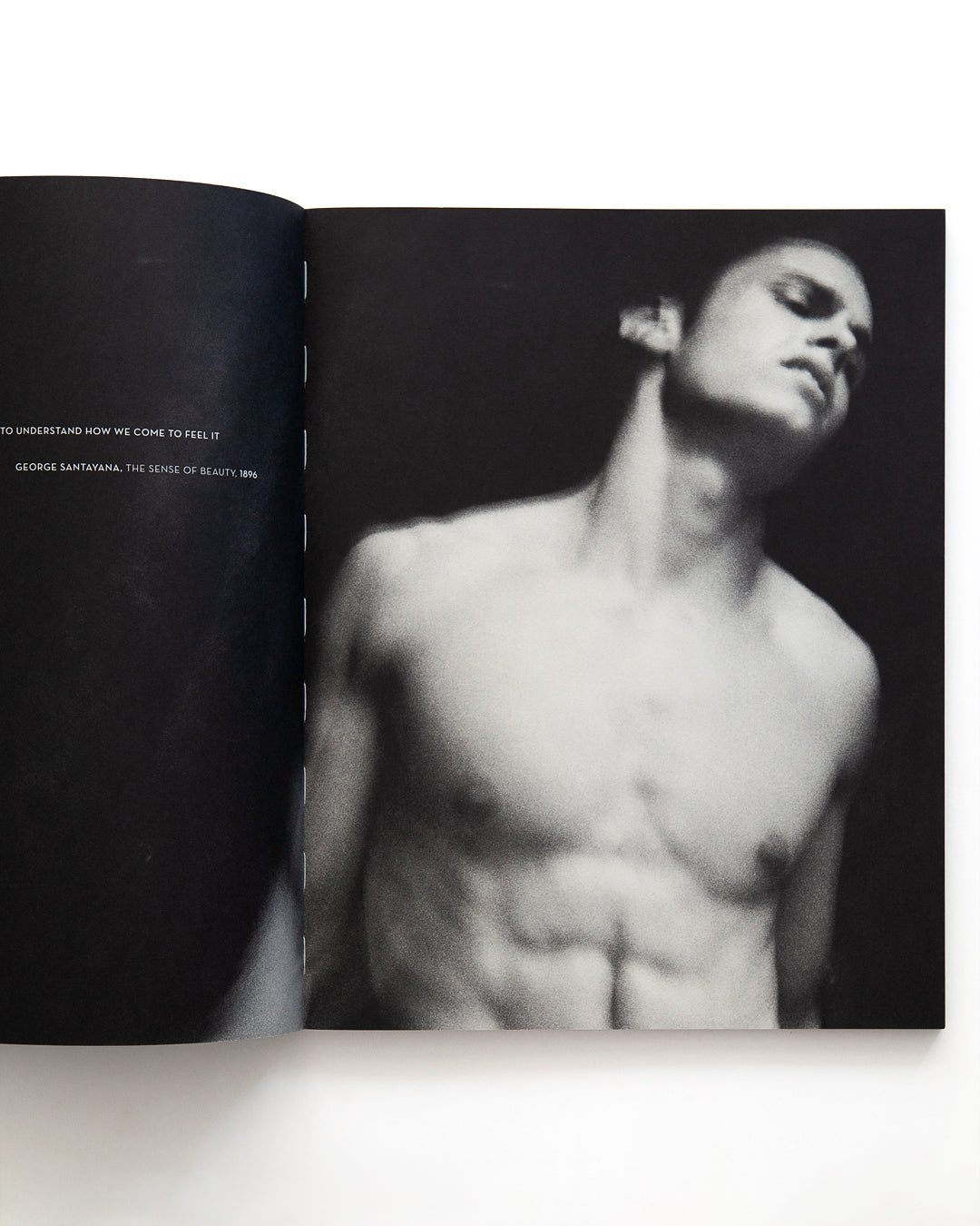 Karl Lagerfeld - The Beauty of Violence