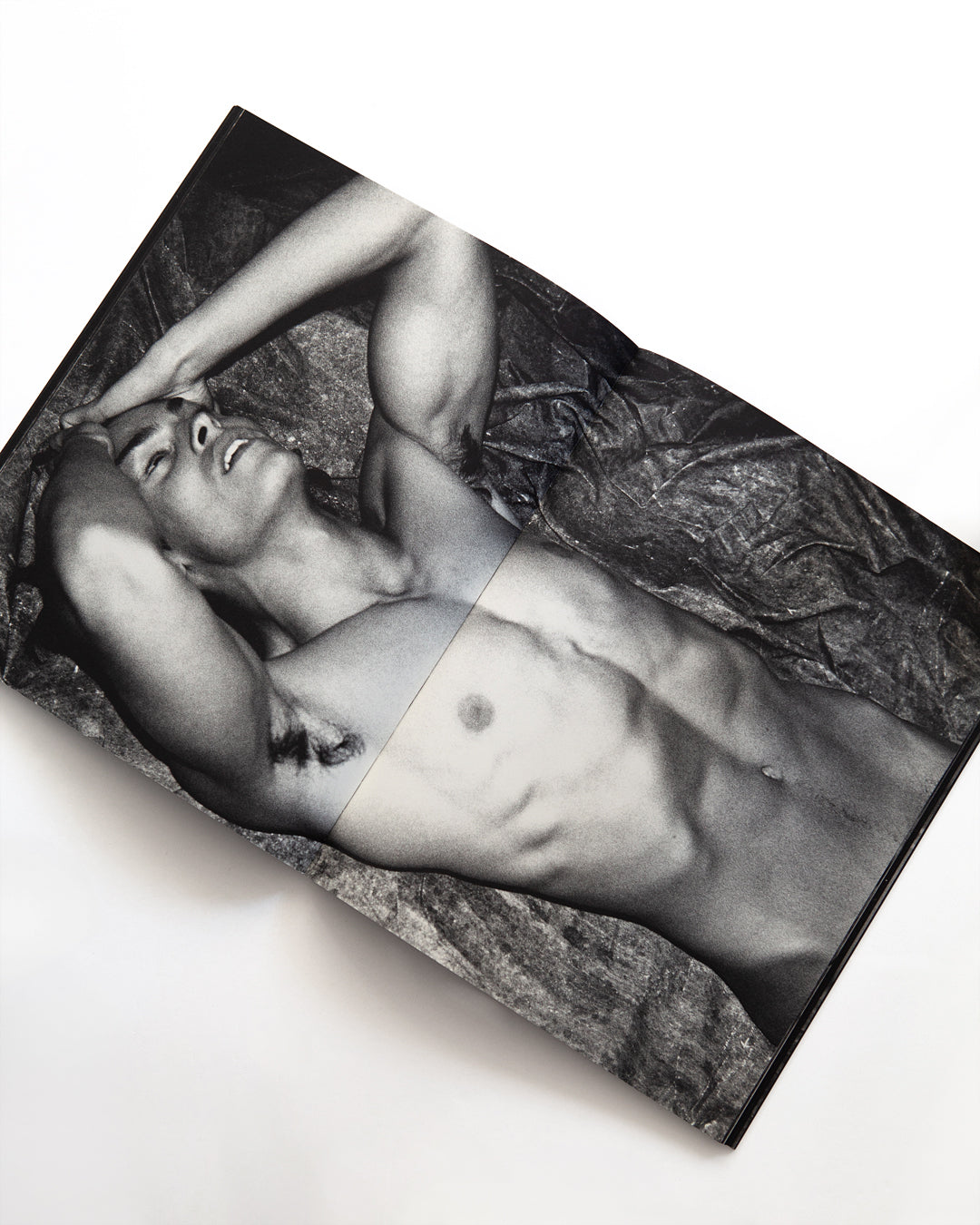Karl Lagerfeld - The Beauty of Violence