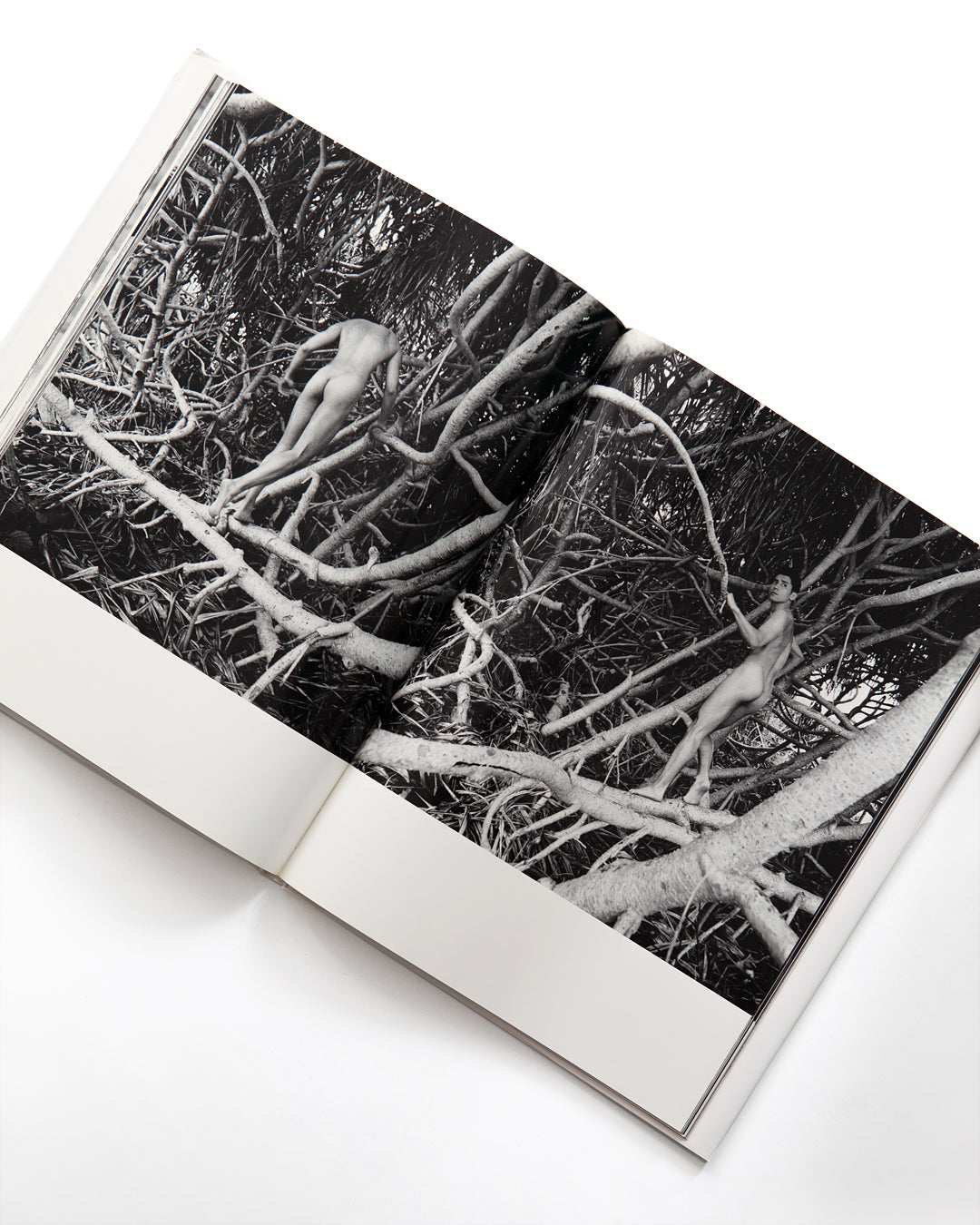 Kishin Shinoyama - White Room