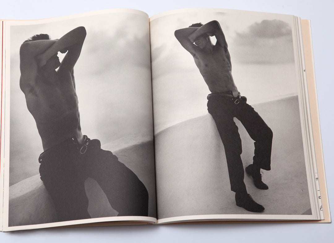 Bruce Weber - The Andy Book