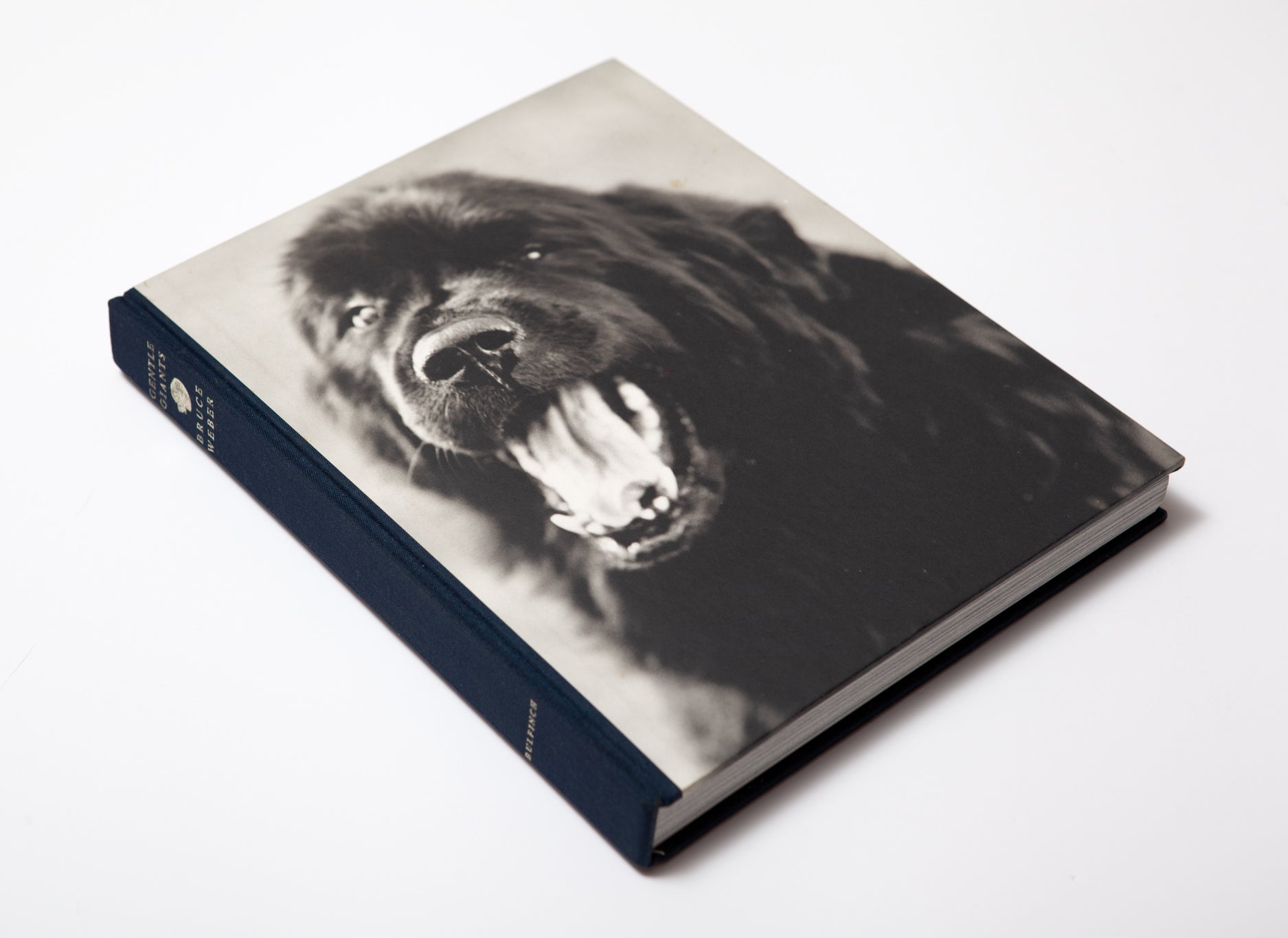 Bruce Weber - Gentle Giants – 10 BOOKS 10 COLORS