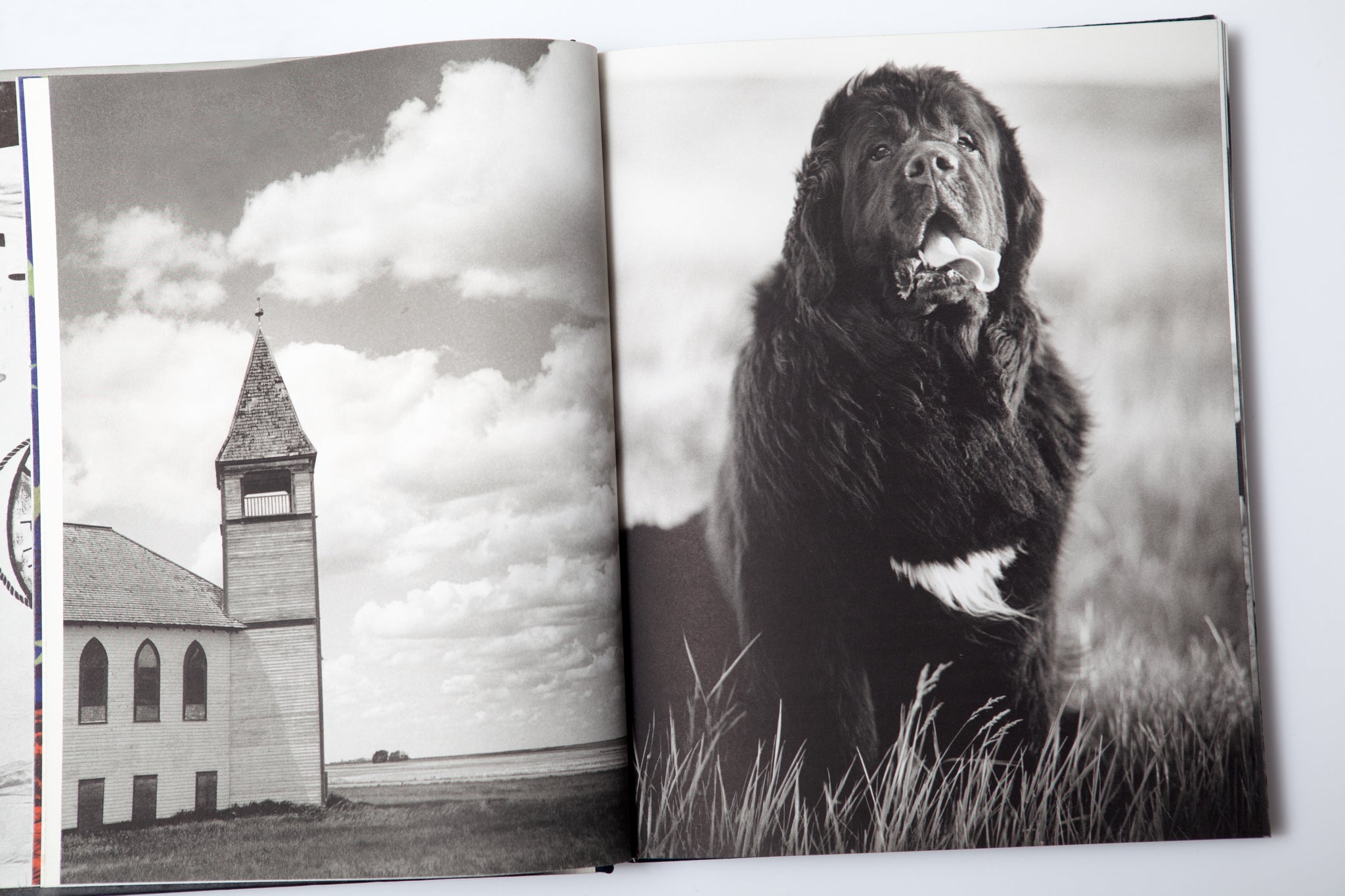 Bruce Weber - Gentle Giants – 10 BOOKS 10 COLORS