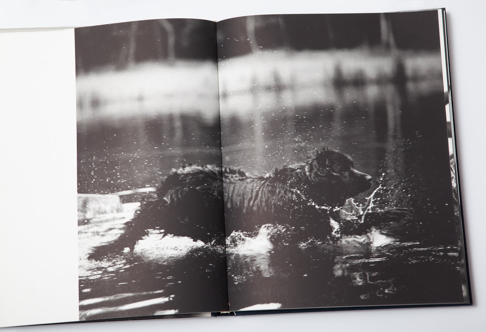 アート・デザイン・音楽 Bruce Weber / GENTLE GIANTS GENTLE GIANTS BY BRUCE WEBER – ARTRANDOM