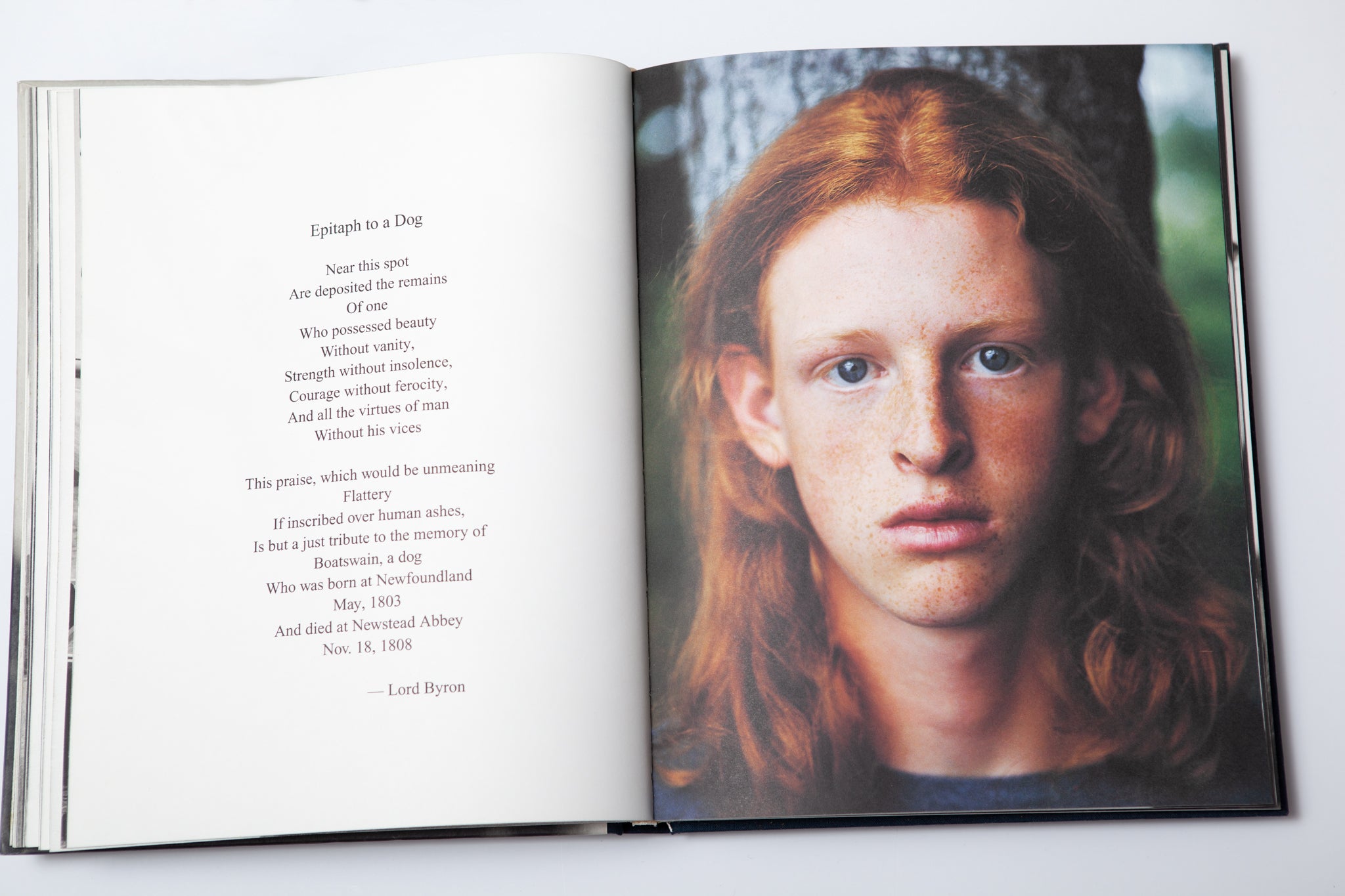 Bruce Weber - Gentle Giants – 10 BOOKS 10 COLORS