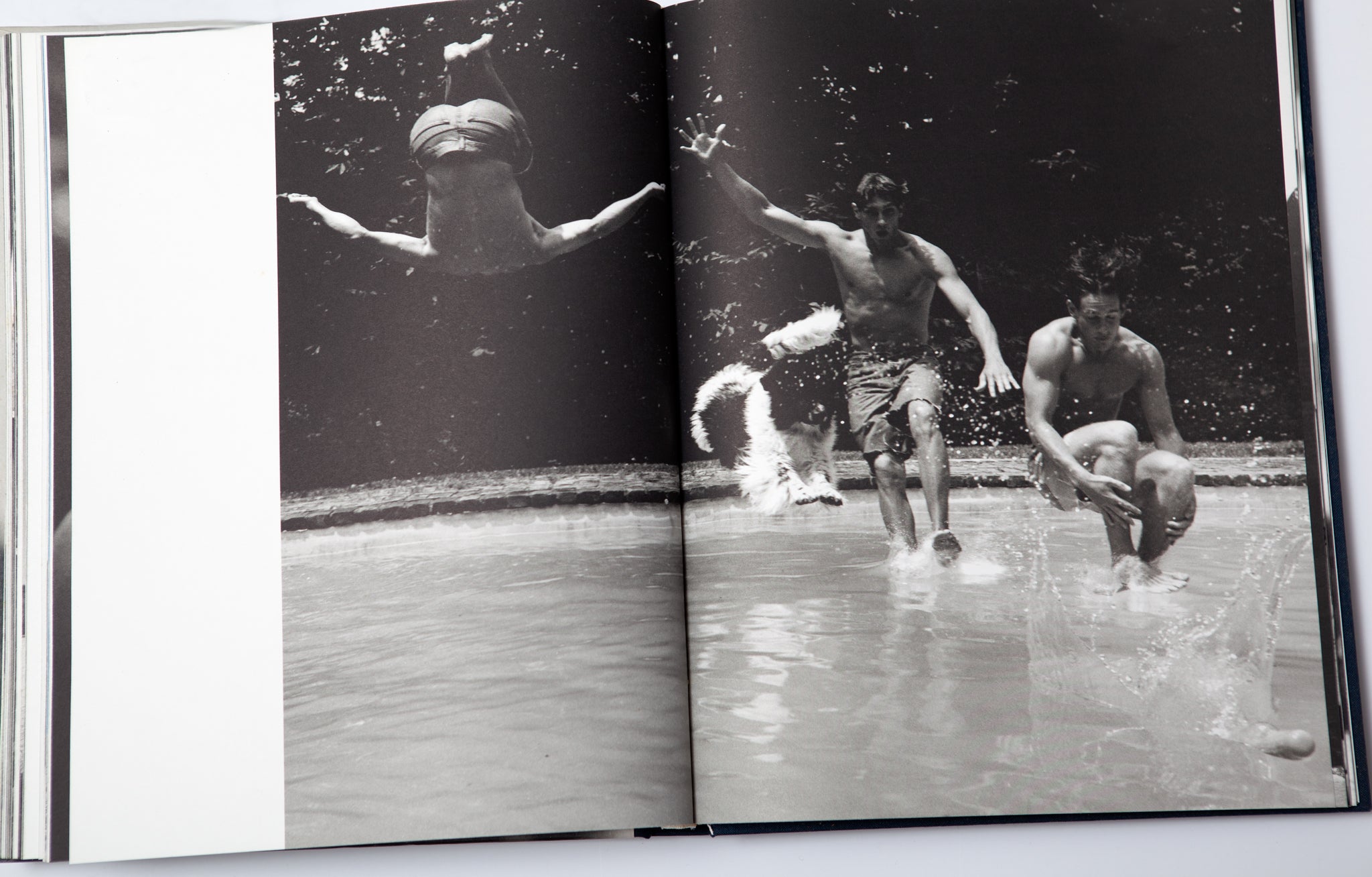 アート・デザイン・音楽 Bruce Weber / GENTLE GIANTS Bruce Weber