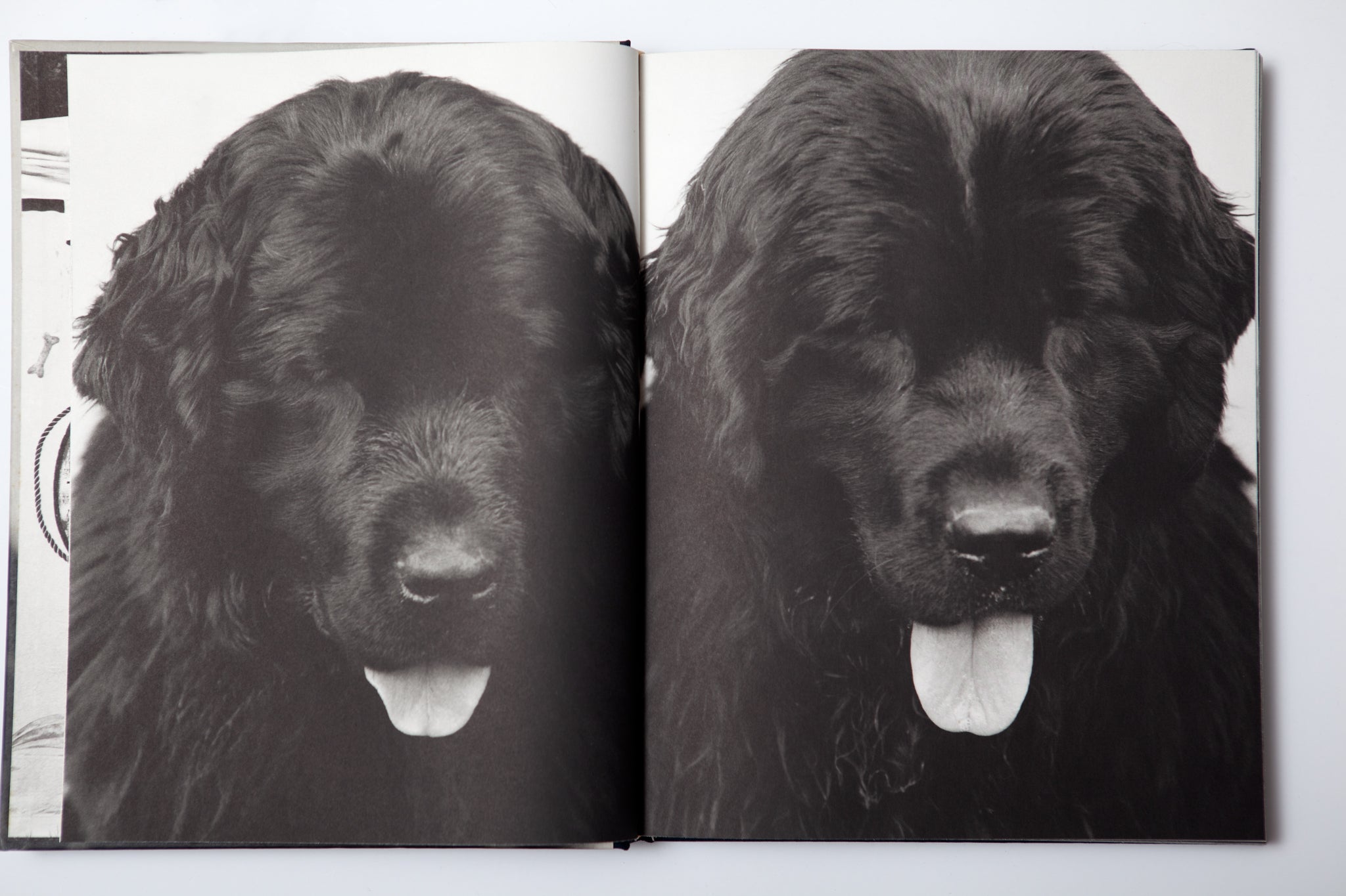 Bruce Weber - Gentle Giants – 10 BOOKS 10 COLORS Bruce Weber - Gentle Giants – 10 BOOKS 10 COLORS